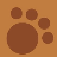 test4